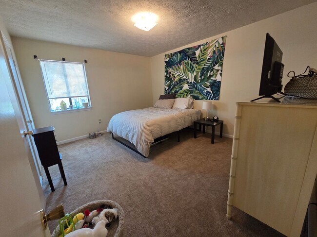 Photo - Campus View 1 Bedroom Apt. -Walking Distance to UGA! Unit 1