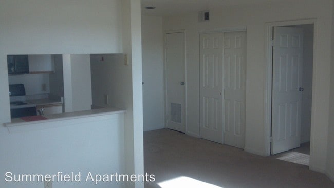 Summerfield Apartments & MicroUnits