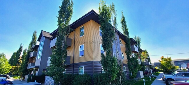 Building Photo - Spacious 3 bed /2 Bath Condo at Ferguson F... Unit # 308