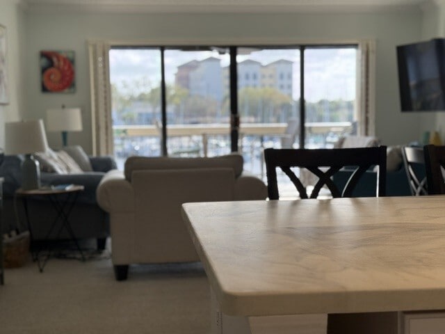 View from kitchen overlooking the harbor - 2220 Front St Unit Melbourne Condo