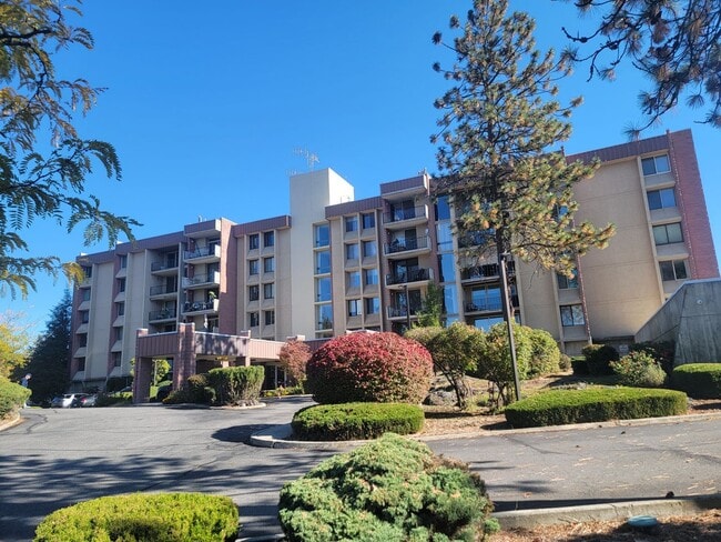 Building Photo - 1 Bedroom Condo In Secure Access Building ...