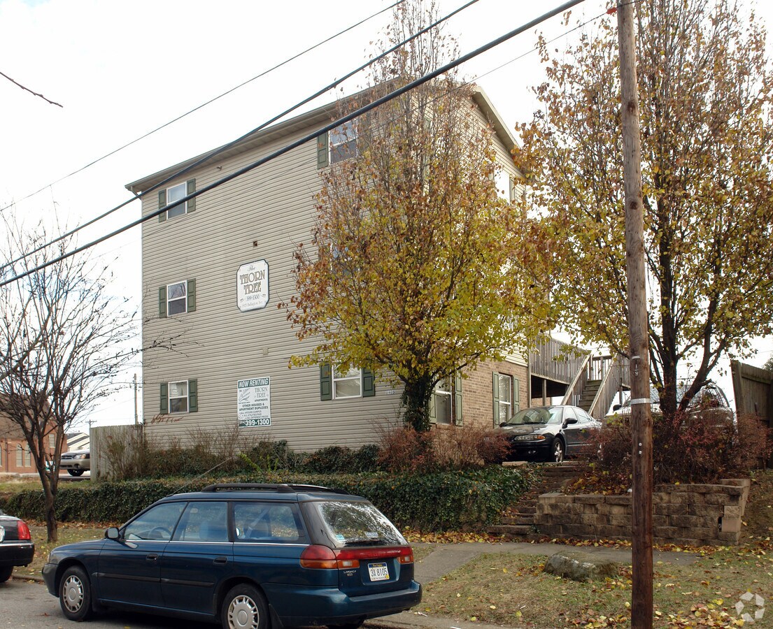 Thorn Tree - Thorn Tree Apartments