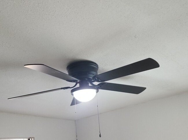 Photo - 6 Robinson Ct