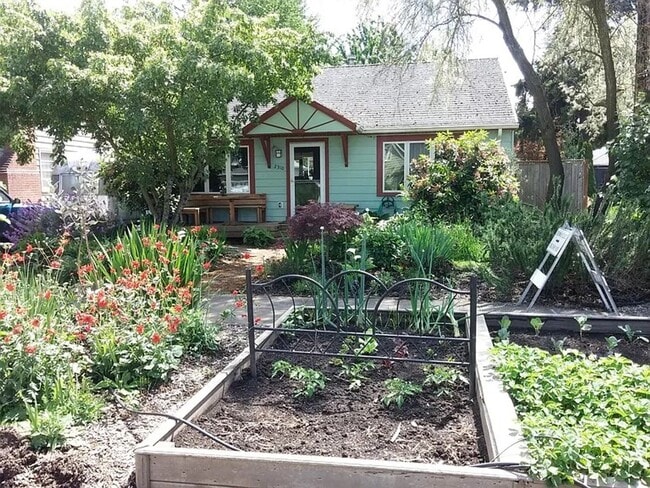 Photo - zoeb01 Unit A