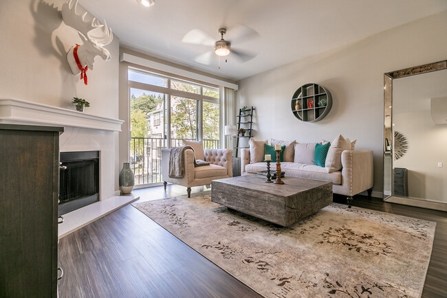 Avignon apartments — community photo