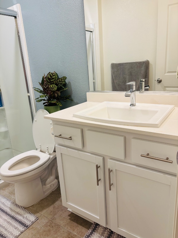 294 Zion Canyon Ct
