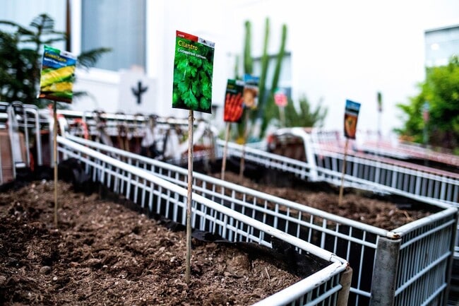 Photo - Charming Studio Apartment in Vibrant Barrio Logan! @ Mi Apartamento Unit 25