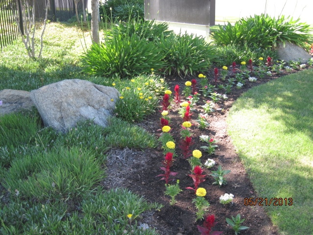 Photo - Harmony Bay (55 yrs and Older)