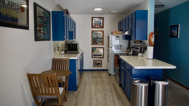 Cocina totalmente actualizada. - 384 Minz Park Cir Unidad 5