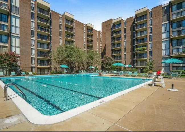 Photo - 9907 Blundon Dr