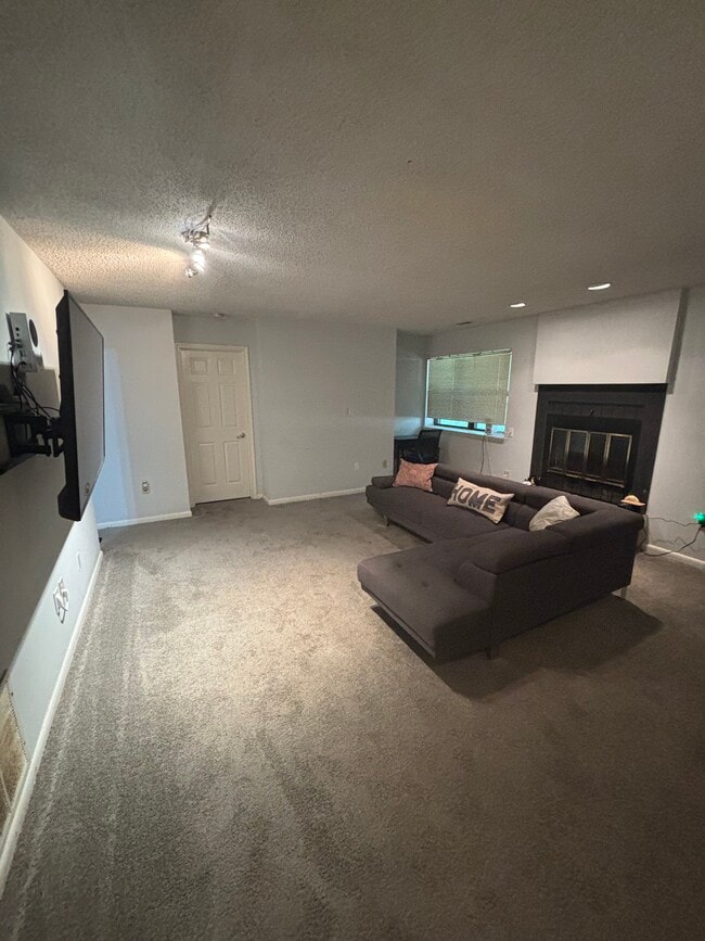 Basement living room - 596 Wild Flower Glade