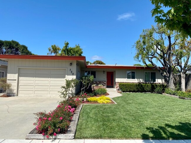 South Salinas 3BR/ 2BA Charmer! - South Salinas 3BR/ 2BA Charmer! House