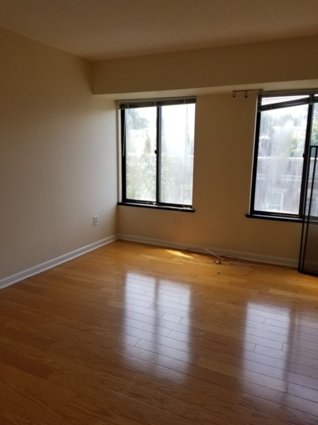 Coolidge Corner, Prime location! West fac... - Coolidge Corner, Prime location!  West fac... Condo