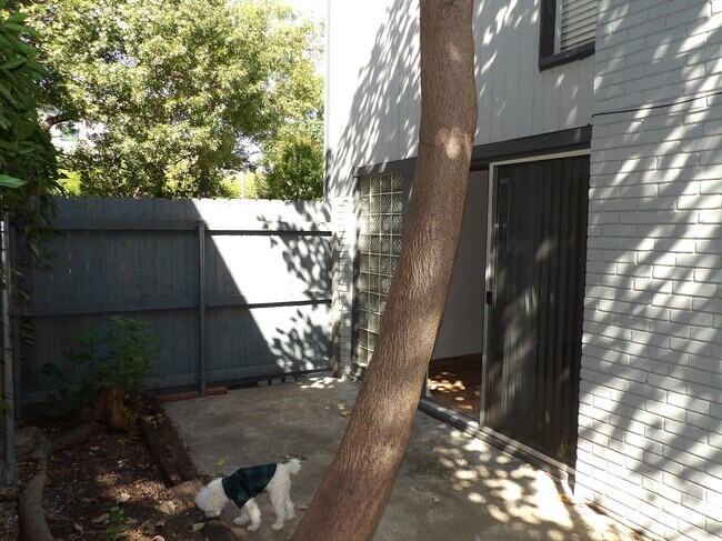 Photo - 4319 Buena Vista St Unit 4