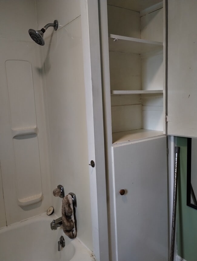 Full Bath - 5025 Clinton Street Rd Unit 2