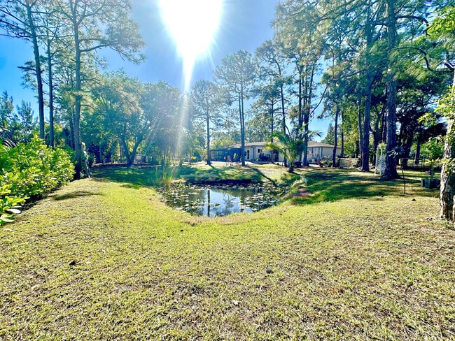 Photo - 13619 57th Pl N