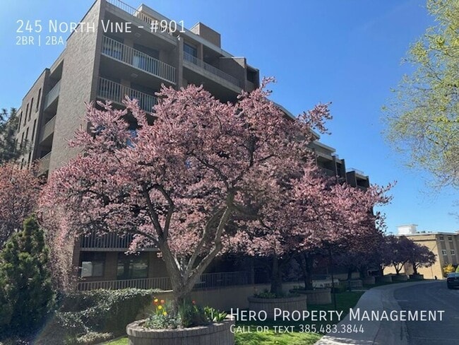 Building Photo - 245 North Vine-#901 Unit #901