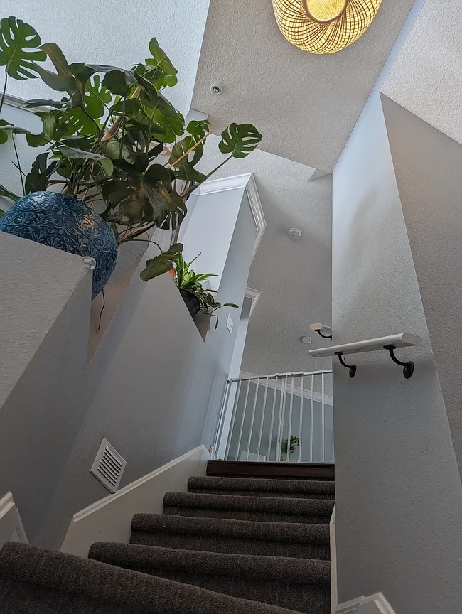 Photo - 3046 Pointeview Dr