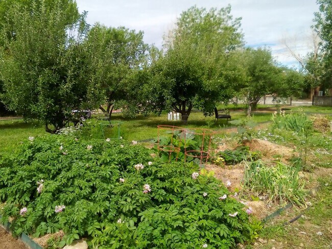 Loma Parda 55+