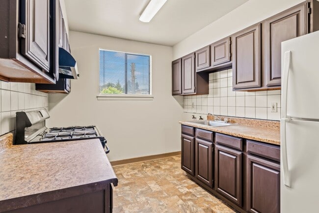Building Photo - Freshly Updated 3 Bedroom: Utilities Paid,... Unit 4 Rental