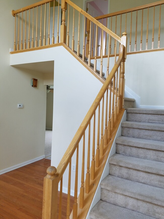 Photo - 254 McNeill Dr