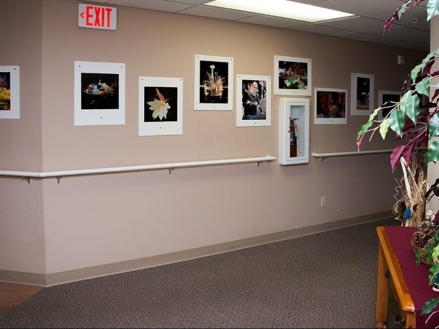 Photo - Vasa Creek Woods Senior Apartments