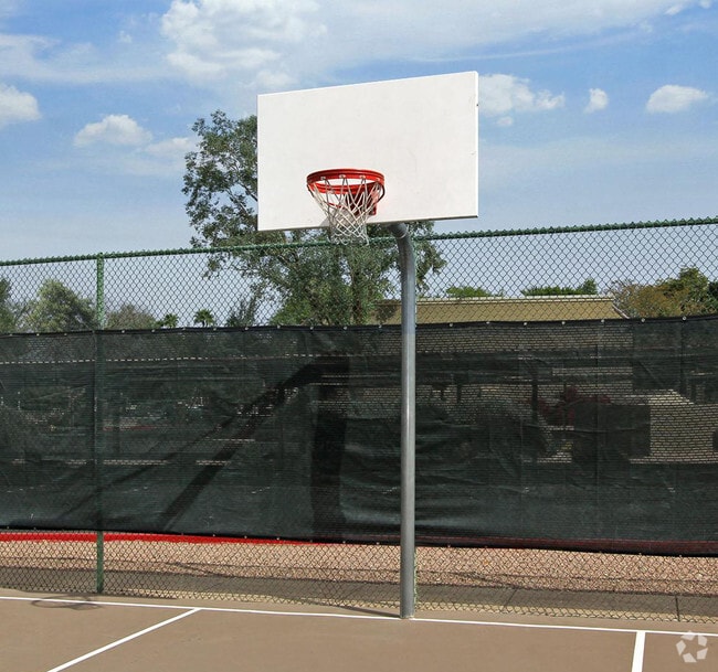 Basketball Court