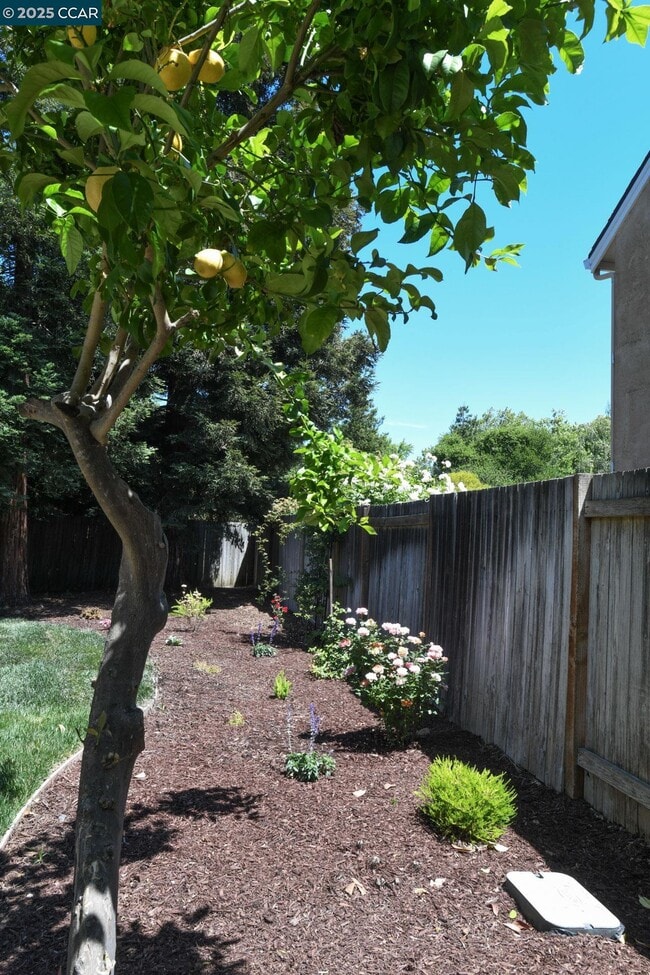 Photo - 555 Willow Ct