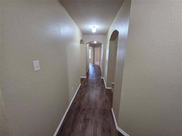 Photo - 237 Thoroughbred St