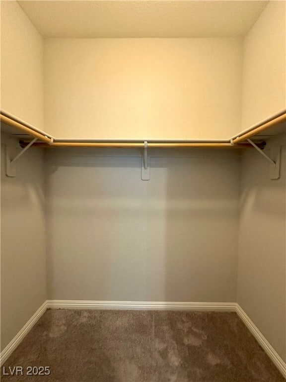 Photo - 2877 Glass Vine Ct