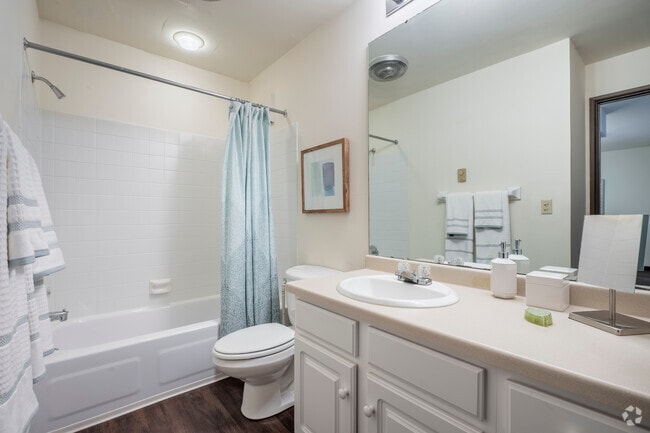 1BR, 1BA - 700SF- Bathroom