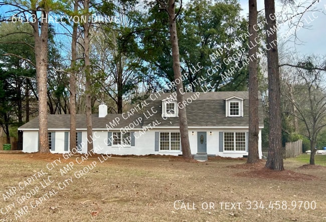 Building Photo - 6413 Halcyon Dr