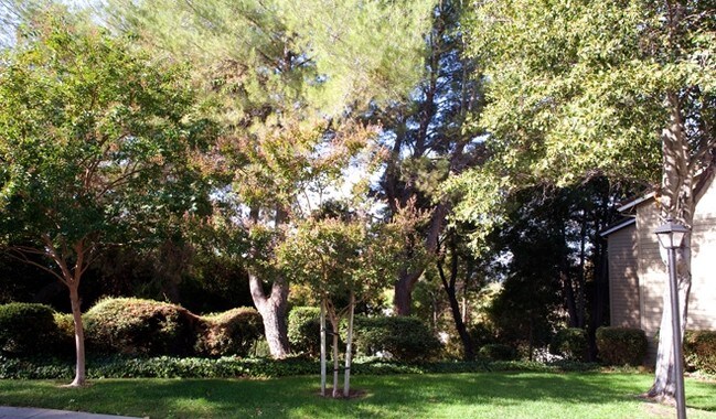 Lime Ridge - Lime Ridge