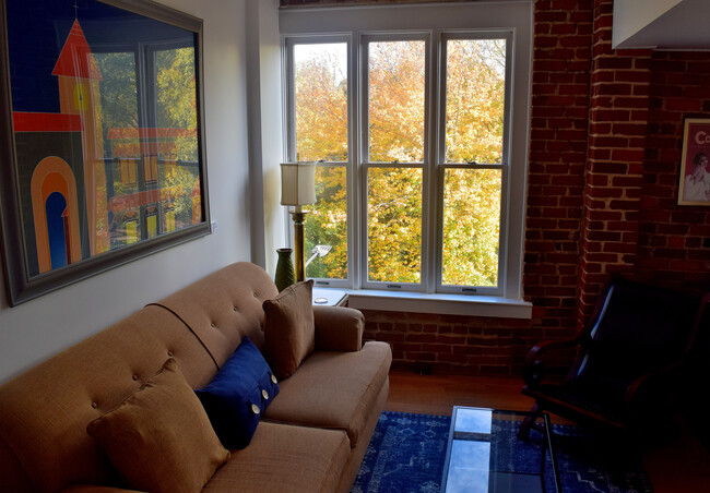 Living room sitting area - 229 N Poplar St Unidad St. Peter's  26 Rental