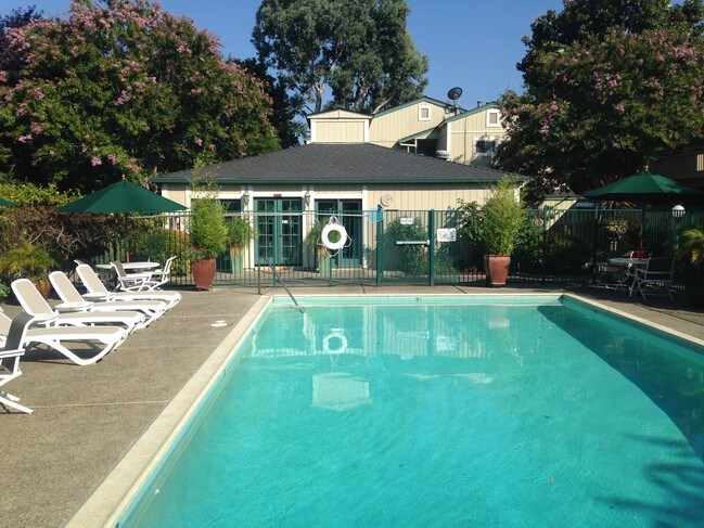 Live Oak Apartments - Live Oak Apartments