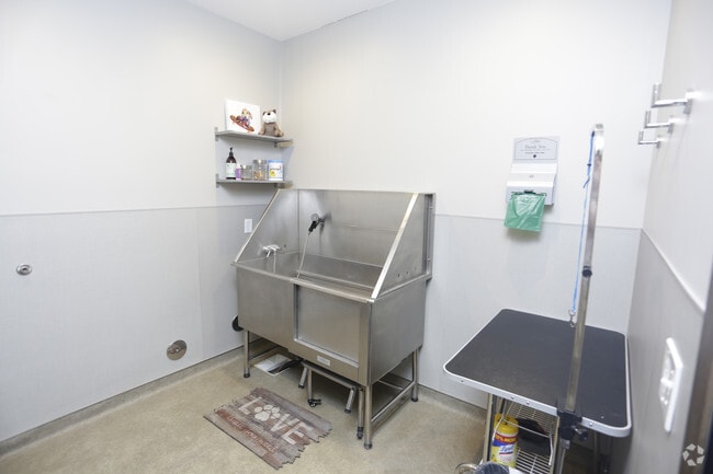 Pet Wash