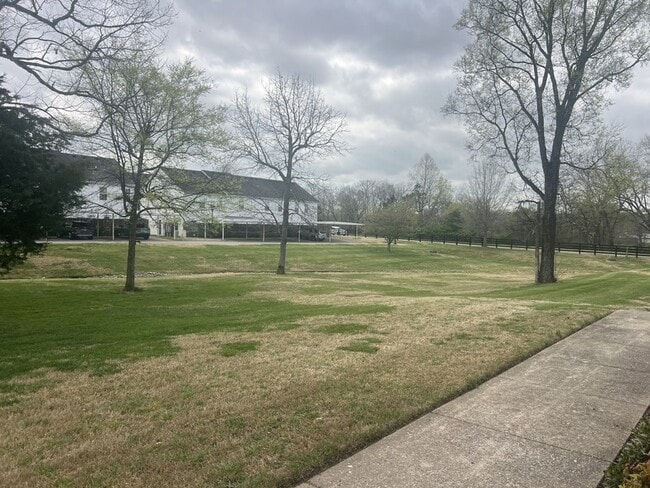 Photo - 1019 Briggs Ln