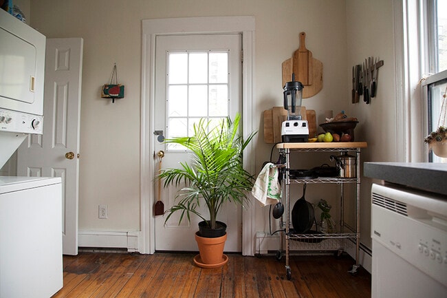 Photo - 25 Everett St