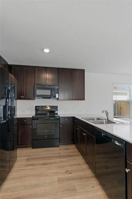 Photo - 444 Marty Allen Lp