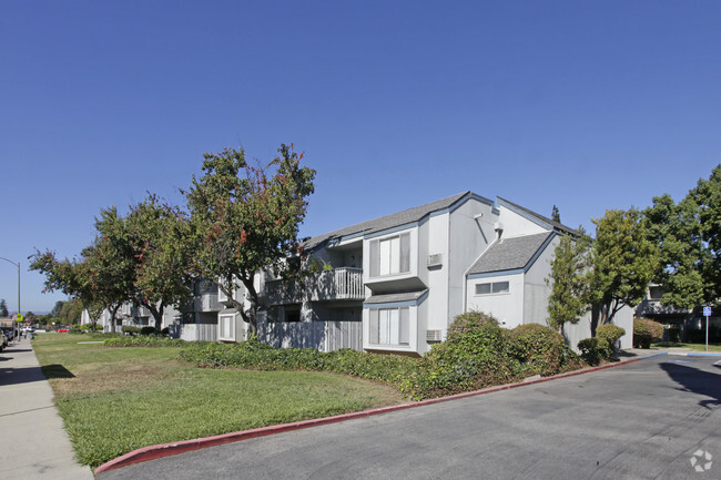 Pinewood Terrace Apartments - Pinewood Terrace Apartments