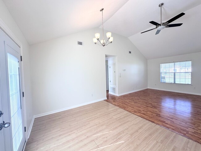 Photo - Branching Out in Laurel Oaks