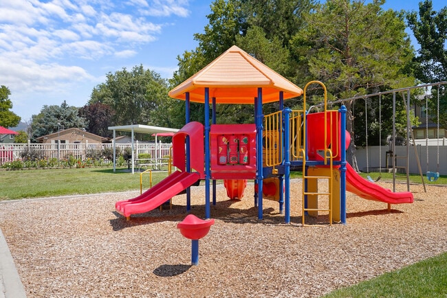 Photo - Mallard Crossing