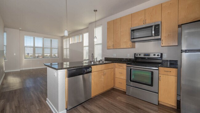 Kitchen and Living Area with Hard Surface Flooring