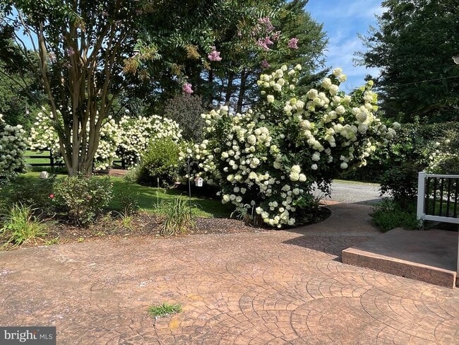 Photo - 636 Walker Rd