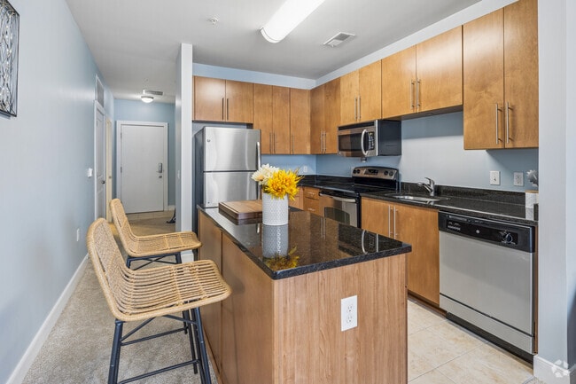 Studio - 502SF