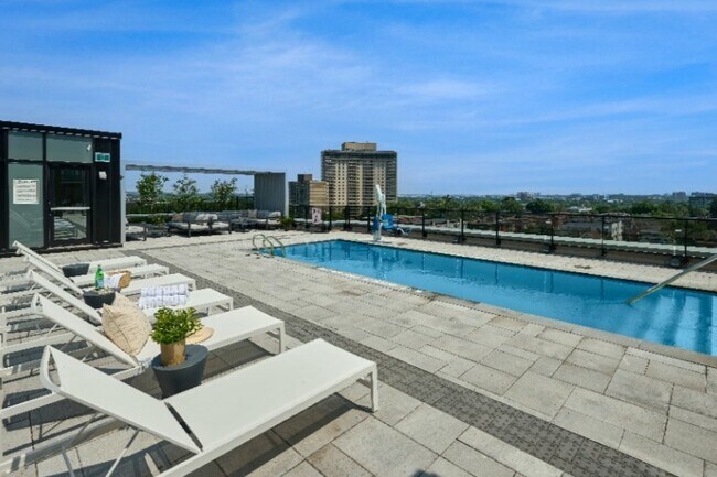 Photo - The Charlotte