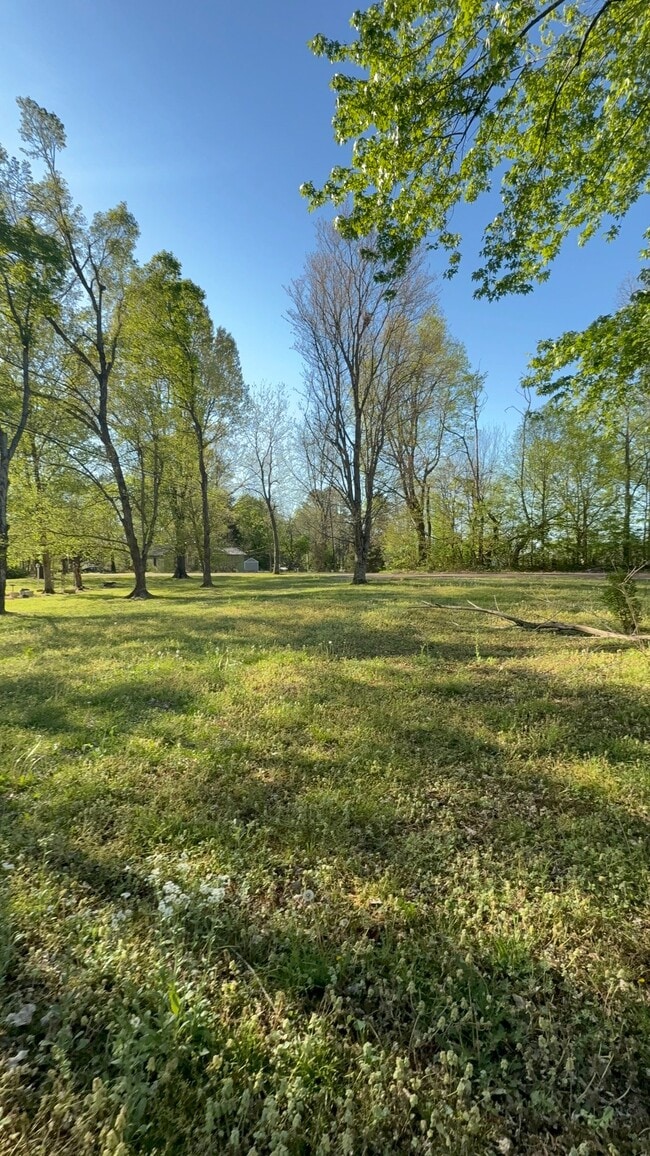 Photo - 50 Mattie Ann Ln