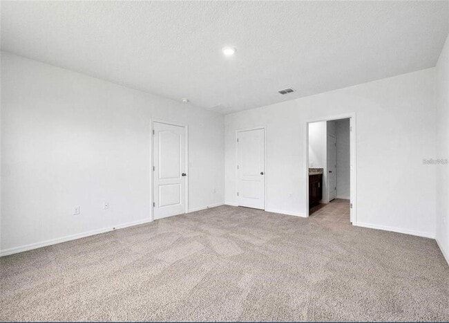 Photo - 343 Caryota Ct