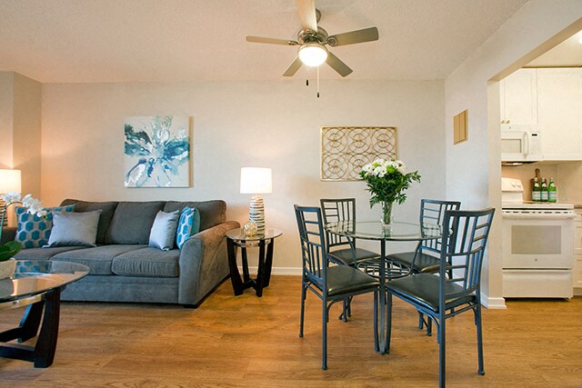 Photo - Mountain View Apartments