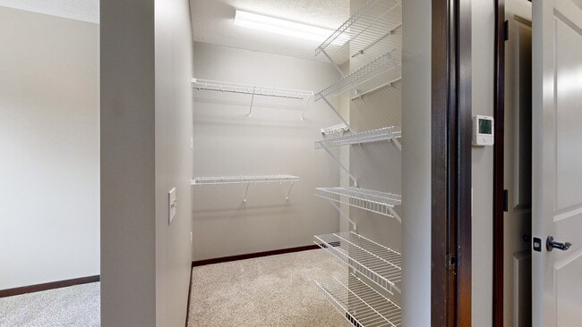 Never run out of storage space with all these shelves in our walk-in closet.